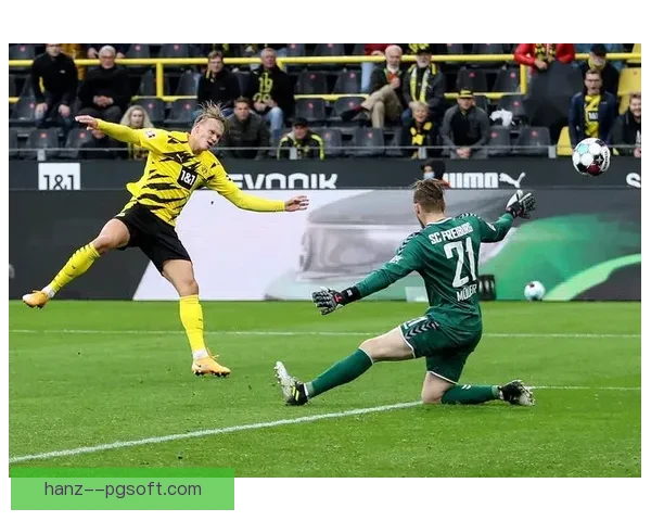 弗赖堡主场凭环保理念获欧足联表彰 成为德甲绿色先锋