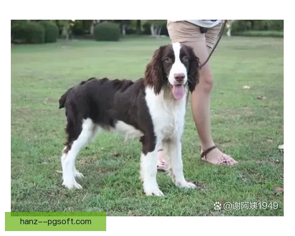 普拉塔梅开二度表现活跃 助队大胜展现出色个人能力